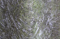 Leybourne fibreglass roof work